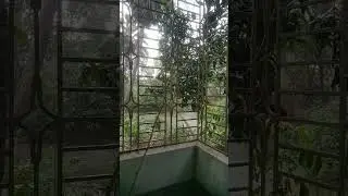 Rain 💝
