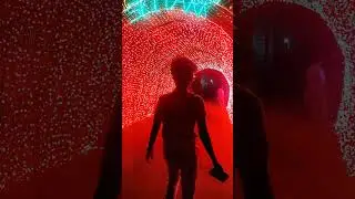 SKY PARK YERCAUD #tourism #laserlightshow #skypark
