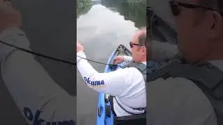 Bass on a Cheap Temu Duck Lure! #fishing #bassfishing #kayakfishing