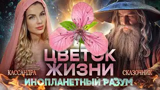 ЦВЕТОК ЖИЗНИ. Инопланетный Разум. Сказочник и Кассандра