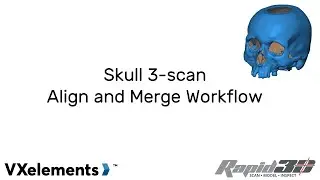 VXelements 3-scan align and merge workflow