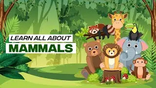 Learn all about Mammals | Mammals for Kids | What are Mammals?