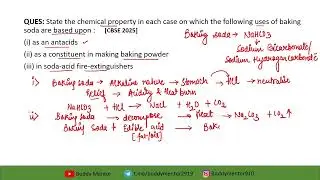 CBSE 2025 Class 10 Science Paper Solution || By Prerna Didi