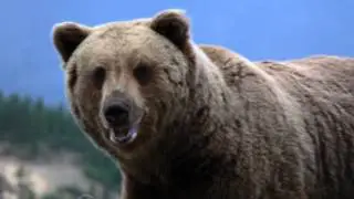Мое слайд-шоу