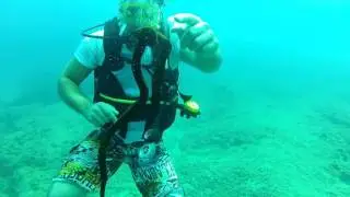 Discover Scuba Diving 2