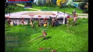 [Tera HD] Melee Animation/Range Comparisons