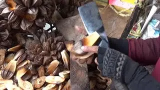 Awesome fruit cutting skills, ugly coconut - Asian common street food