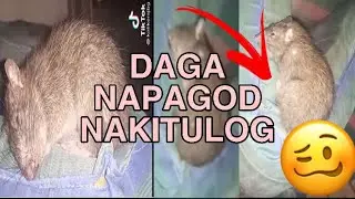 TANGAL PROBLEMA MO DITO PAG NAPANOOD MO||Eumy Aguilar