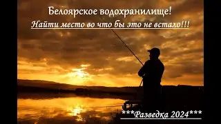 Белоярское водохранилище! Найти место во что бы это не встало!!!