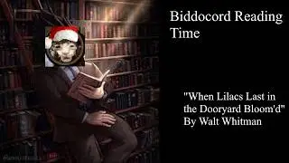 Biddocord Reading Time: 