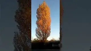 Не исповедимы дела твои господи
