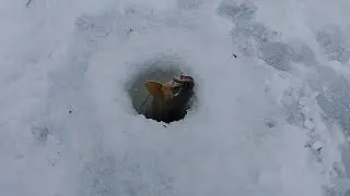 Рыболовное путешествие на реку Журавлевку. 30.11 - 11.12.2019 г. Часть 2.