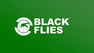 How MMCD Monitors and Controls Black Flies (Biting Gnats)