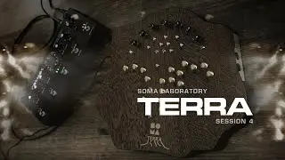 Live ambient with SOMA Laboratory 'Terra' and 'Cosmos'