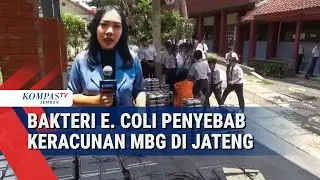 E. Coli Ditemukan di Menu MBG, Pemprov Jateng Ambil Langkah Cepat Tangani Kasus Keracunan