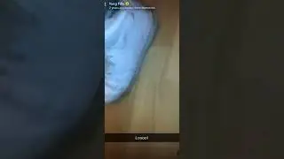 Yung Filly Laughing at Dead Trainers