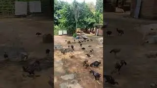 Best Village in the World | Worls best places  | Village life |  #shorts #youtube