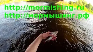Мормышинг. Trautex в действии.