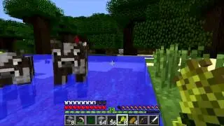 Minecraft G Short ep4 Cow