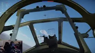 Dogfight