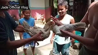SABONG😂😂 #funny #trending #viralvideo #jadevlogtv #pleasesubscribe