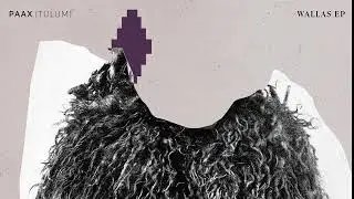 PAAX (Tulum) - Wallas (Pandhora Remix)