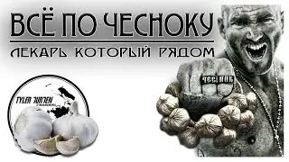 🌿ВСЁ ПО ЧЕСНОКУ🌿 / ЛЕКАРЬ КОТОРЫЙ ВСЕГДА РЯДОМ