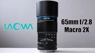 Laowa 65mm f/2.8 Macro 2X: The Easiest Entry into Professional Macro