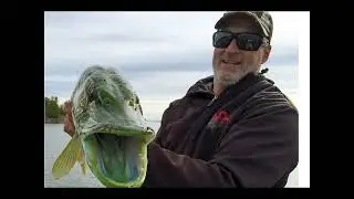 Fisherman in Canada Caught Unusual Green Fish