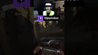 ДПС АВАРИЯ  | twitch.tv/t0psmoker | #twitch #стрим #юмор #contrabandpolice #t0psmoker #shorts