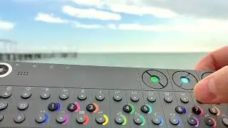 Sea Shore | OpZ