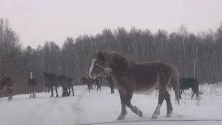 Выезд на рыбалку с близкими