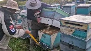 Готовимся к сокращению семей.  Убираем разделительные решётки
