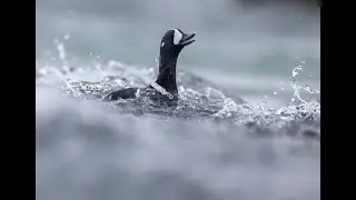 Iceland - land of the vikings