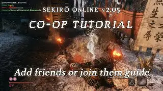 Sekiro Online v2.05 Co-op Tutorial - Add friends to invite or join their game guide