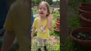 10 июня посадили с Даришкой наши деревья 🌳 будем следить и расти вместе 🌸