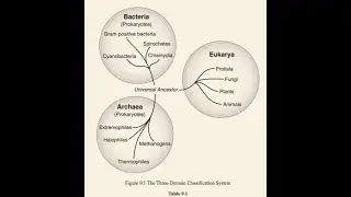 Lecture-10  || Six Kingdom Classification || Three Domains of Life || Biological Classification ||