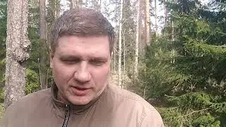 Как создаётся основа 3д