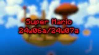 24w06a/24w07a Compatibility | Minecraft Super Mario Datapack