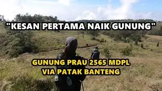 Gunung Prau Via Patak Banteng - Kesan Pertama Naik Gunung Tracking Malam
