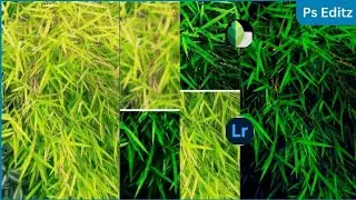 |HOW TO MOBILE PHOTOGRAPHY  COLOUR GRADING MOODY GREEN LIGHTROOM EDTING |#snapseed #lightroom##color