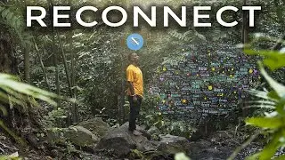Mindfulness in Nature: How to Reconnect with Yourself?