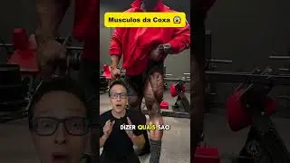 Músculos da Coxa 😱