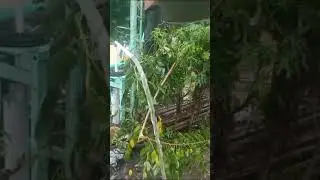 JASA PEMBUATAN SUMUR BOR BALI