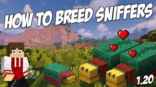 How to Breed Sniffers in Minecraft