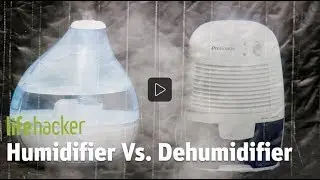 Lifehacker. Humidifier and Dehumidifier in the Same Room