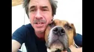 Gender statistics of dog trainers............Peter Caine Dog training