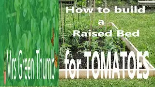 How to build a Tomato Raised Bed