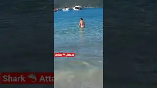 🇧🇷 Shark Attack | Rio De Janeiro Atlantic Ocean 