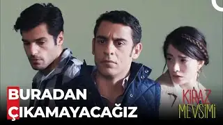 Kurtarma Ekibi İş Başında! - Kiraz Mevsimi
